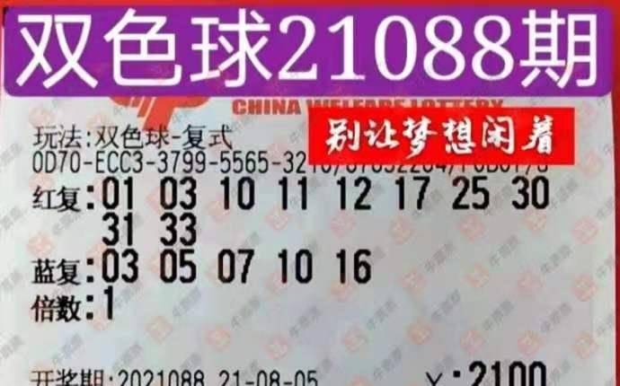 澳门王中王的神秘传说与真相揭秘澳门王中王100%期期准确2024