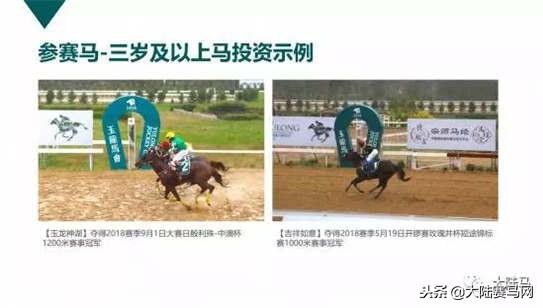 2019年香港马会开码结果直播，揭秘年度赛马的精彩瞬间香 港 马 会 开 奖 结 果