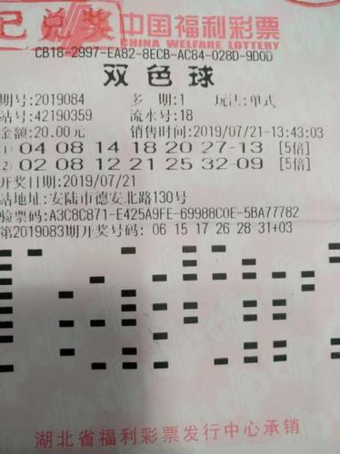 揭秘香港王中王的奥秘，全面解析与免费资料指南香港王中王资料大全免费雨消有哪几个生消