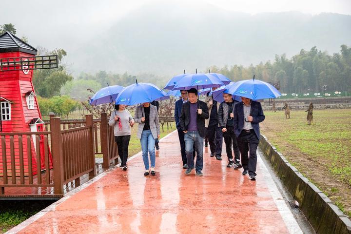 五期并进，共绘乡村振兴新蓝图五期是多少天怎么算