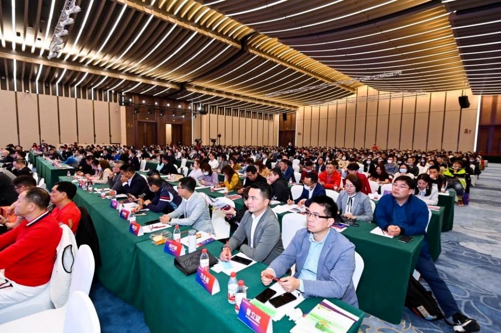 探索网络思想交流的殿堂，一品坛论坛深度剖析一品堂论坛精准资料