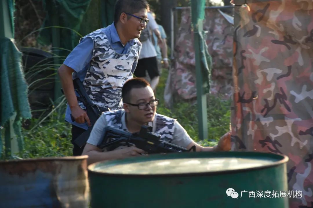 广西的狼性精神，探索精英主论坛的力量与影响广西的狼精英主论坛_