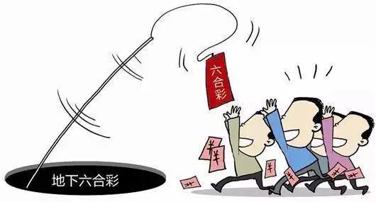 探索香港六合彩的魅力，揭秘码开奖结果背后的故事香港码开奖结果2024开奖记录