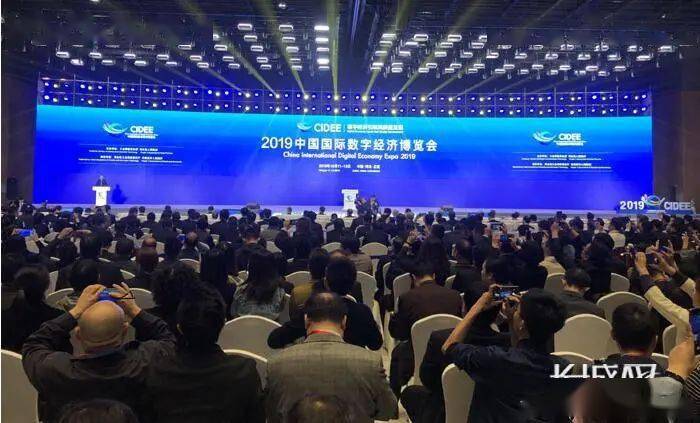 探索香港2019年开奖结果，一场数字与幸运的交织香港2021年开奖纪录