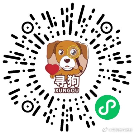 跑狗网,网络时代的宠物竞技新平台跑狗网一新一代跑狗论坛5043,00M四海图厂车118