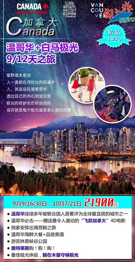 澳门特马论坛，探索与交流的璀璨平台澳门最精准免费资料大全旅游景点