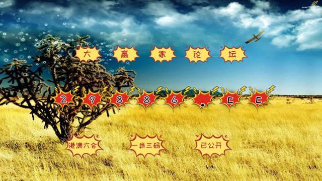 澳门彩，揭秘49个数字背后的精准奥秘4949精准澳门彩最准确的下载