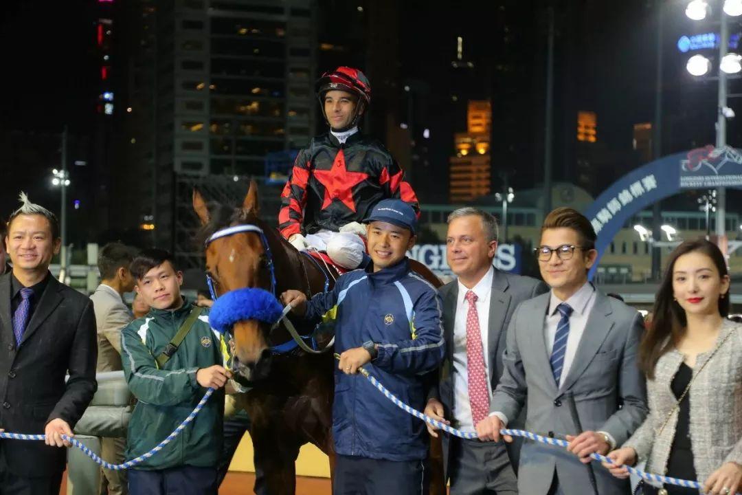探索香港马赛，全面解析与资料大全2021年香港马资料大资料大全网址