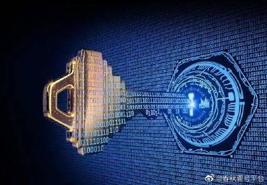 探索数字世界的新篇章，揭秘www.493333\com的无限可能