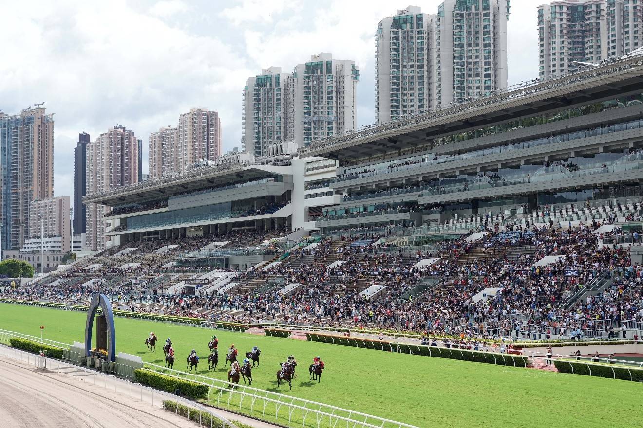 探索香港马会资料,历史、运营与影响马会资料免费长期公开