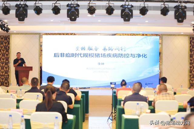铁算盘高手论坛，汇聚智慧，共铸财务精算的辉煌