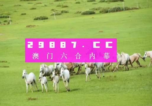 2036澳门资料免费大全，探索未来与机遇的钥匙2023澳门资料免费大全老版