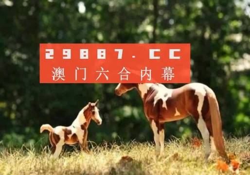 澳门跑狗3769，揭秘背后的真相与警示
