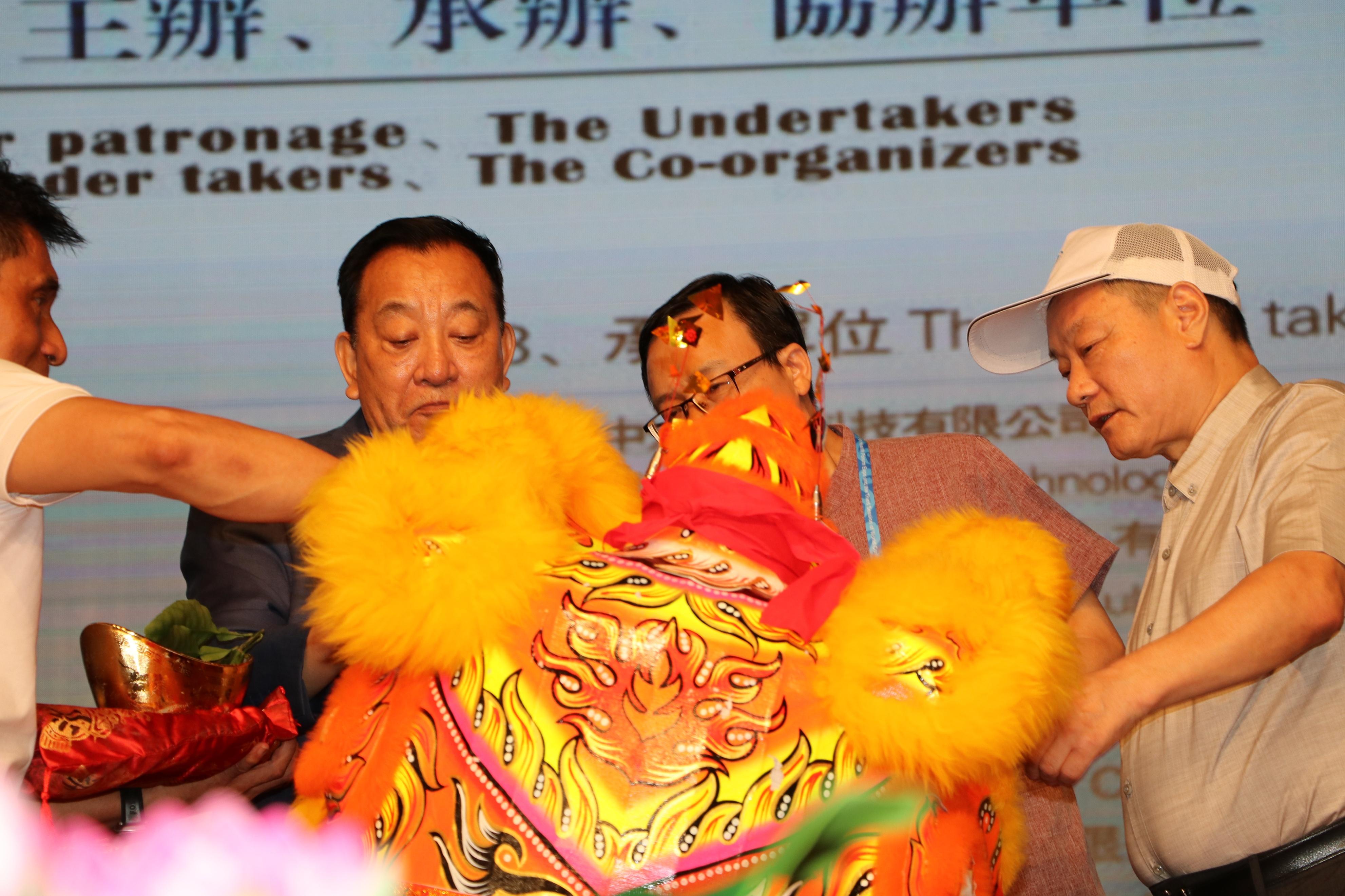 探索澳门六顶尖论坛,官方网址的权威指南与深度解析澳门六顶尖论坛官方网址查询