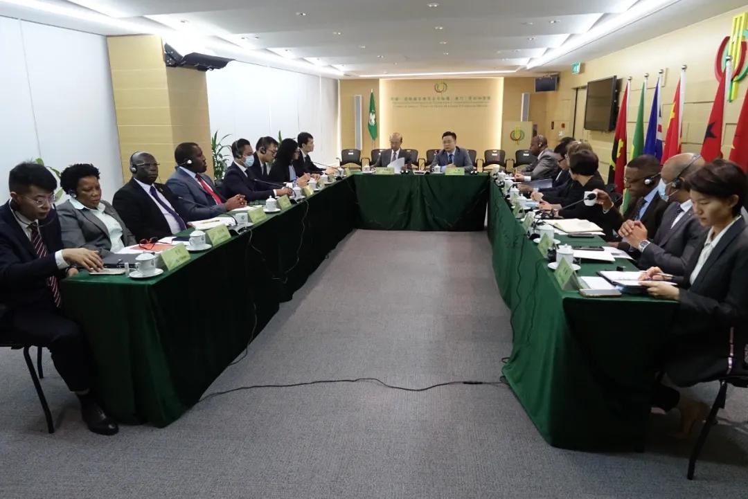 澳门六顶尖论坛,最新动态与前瞻趋势澳门六顶尖论坛最新消息新闻报道