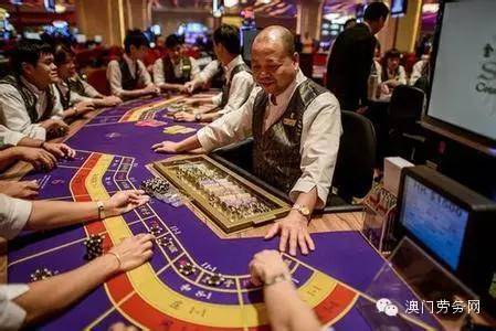 澳门六扇门的神秘面纱，探秘与英文解读澳门6张赌牌在哪几家