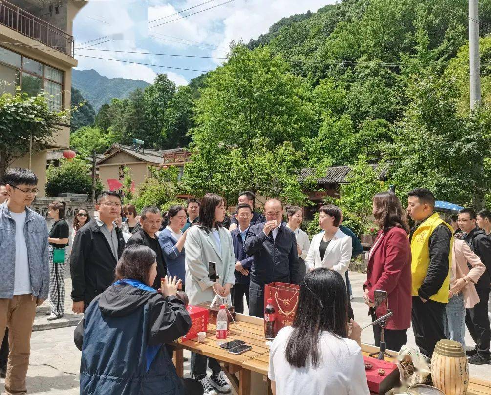 探索澳门六个菜开奖直播的精彩世界，线上观彩新体验澳门六个菜开奖直播在哪看啊