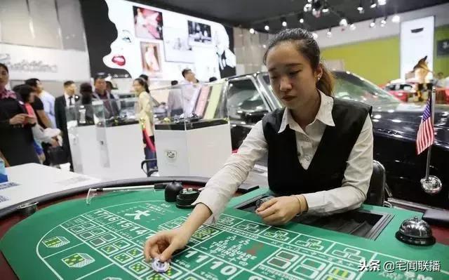澳门六个牌照的深度解析，一图读懂赌场运营背后的复杂规则澳门六个牌照是什么意思啊图片大全