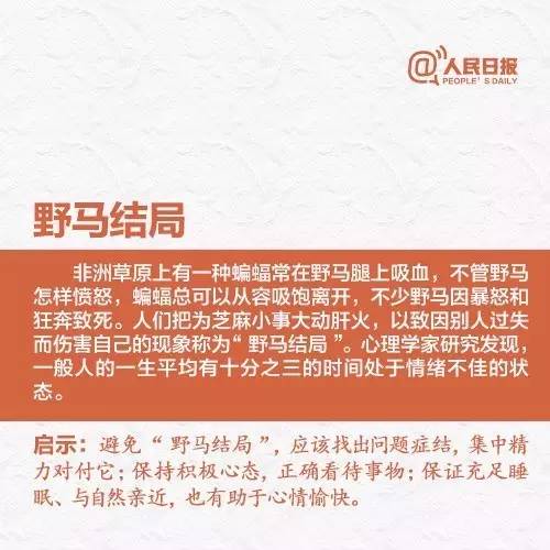 澳门六张牌照图片大全最新，一网打尽的全面指南澳门六张牌照图片大全最新版