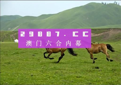 澳门六龙门客栈,真实与图片的深度对比澳彩龙门客栈