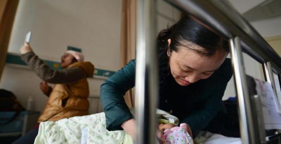 澳门六六大顺,揭秘幸运动物类型澳门六是不是真的