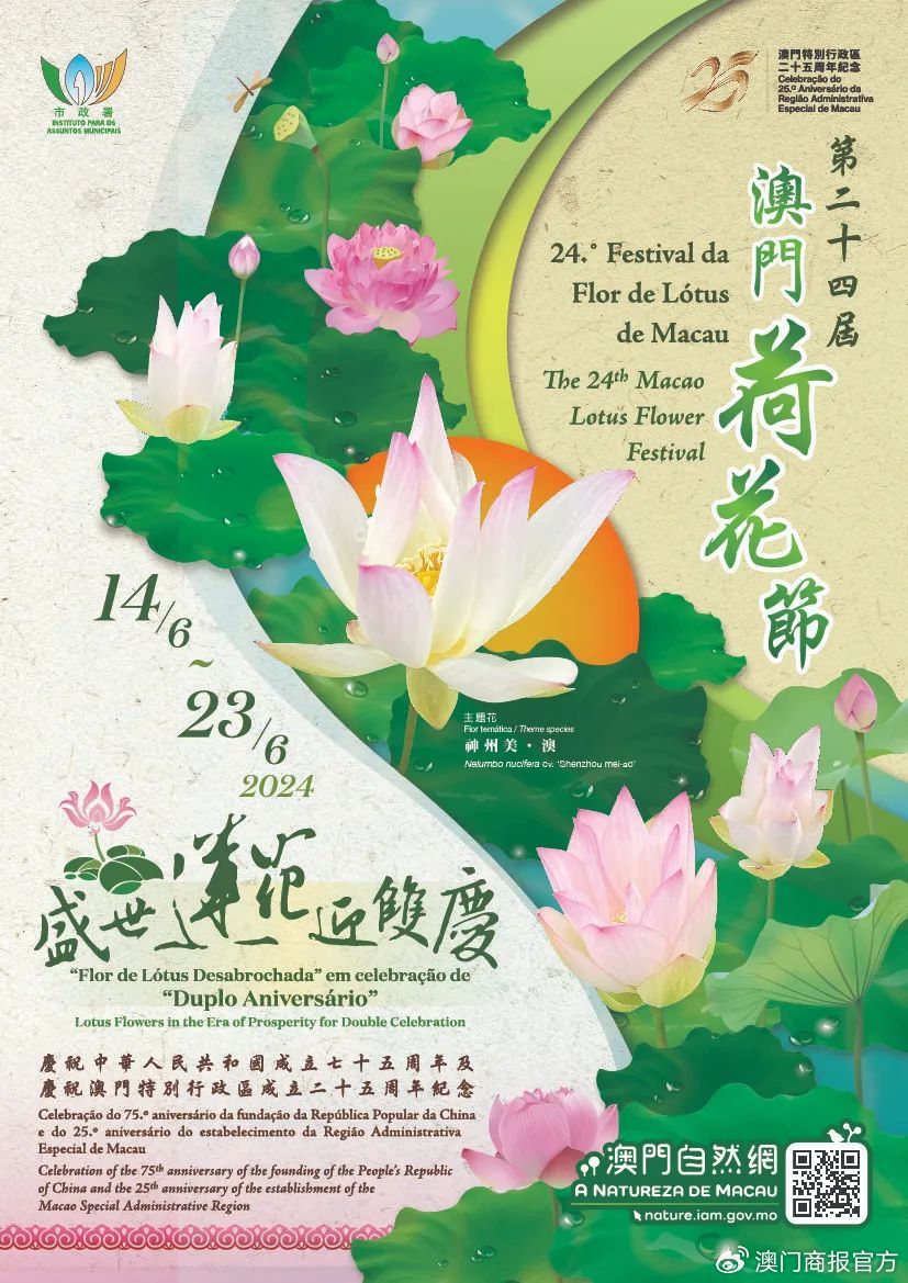 澳门六友之家官网网页版入口，探索澳门的文化与友谊之旅的门户网站解析及使用指南奥门六六之家
